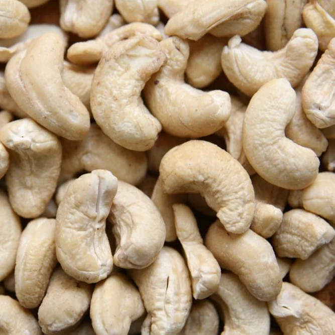 
Dried Cashew Nut Without Shell Raw Seeds 
