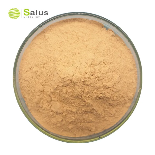 Factory Wholesale Additives Probiotics Powder Bacillus Coagulans