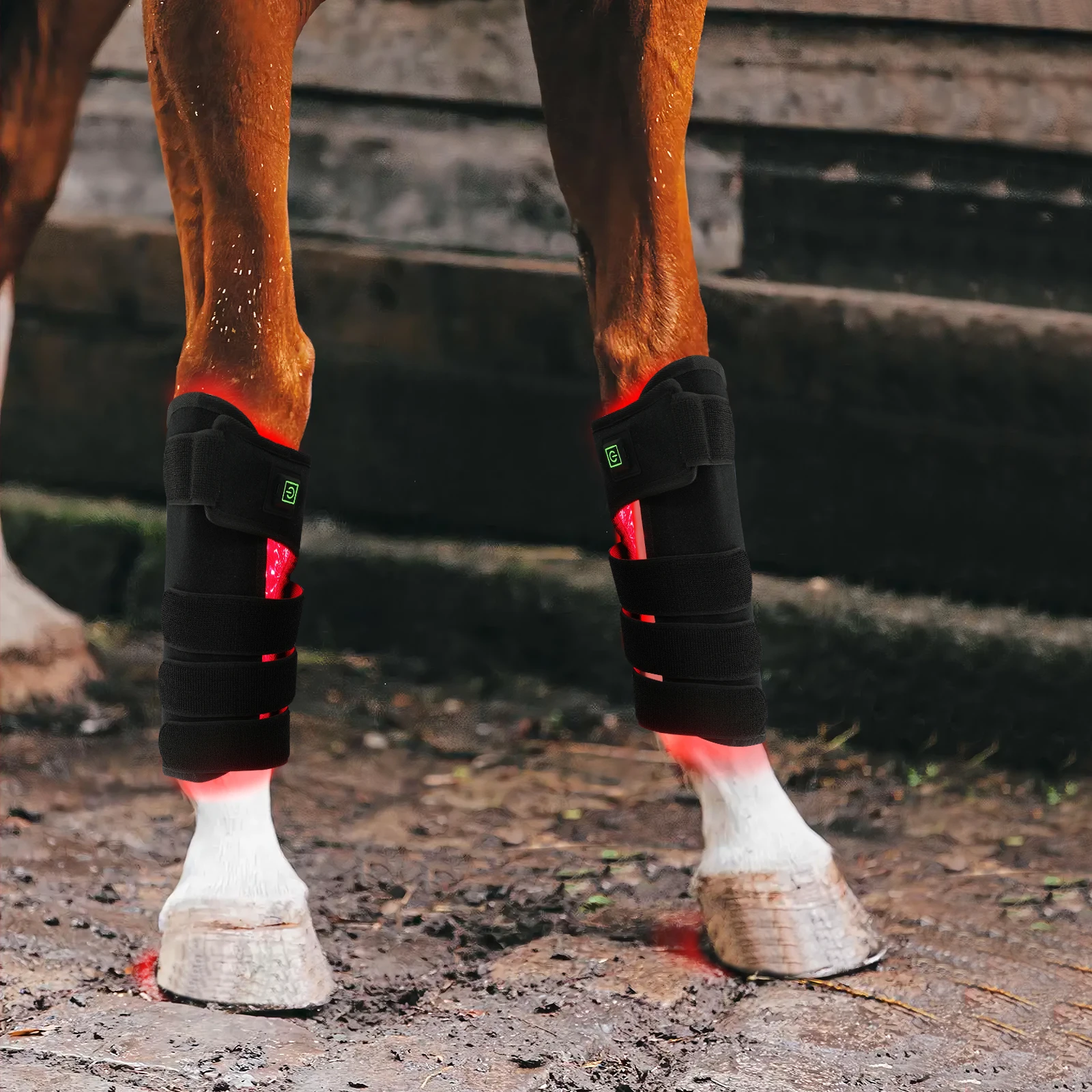 Photonic Red Light Therapy for Horses 660nm 850nm Animal Horse Leg - Single Unit