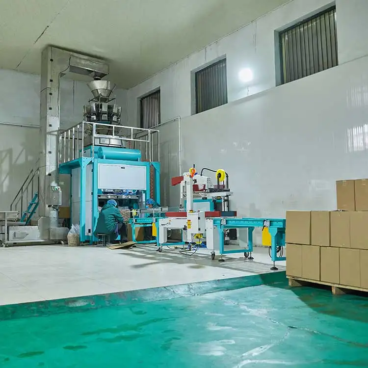 wallnuts dried kernel Xinjiang walnut kernels mix from China wholesale in bulk cheap price hot sale