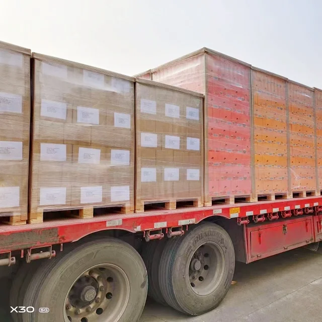 OEM wholesale smelless keto halal dietary fiber food vegetarian instant Bulk Past  Konjac Shirataki Noodles with gluten free