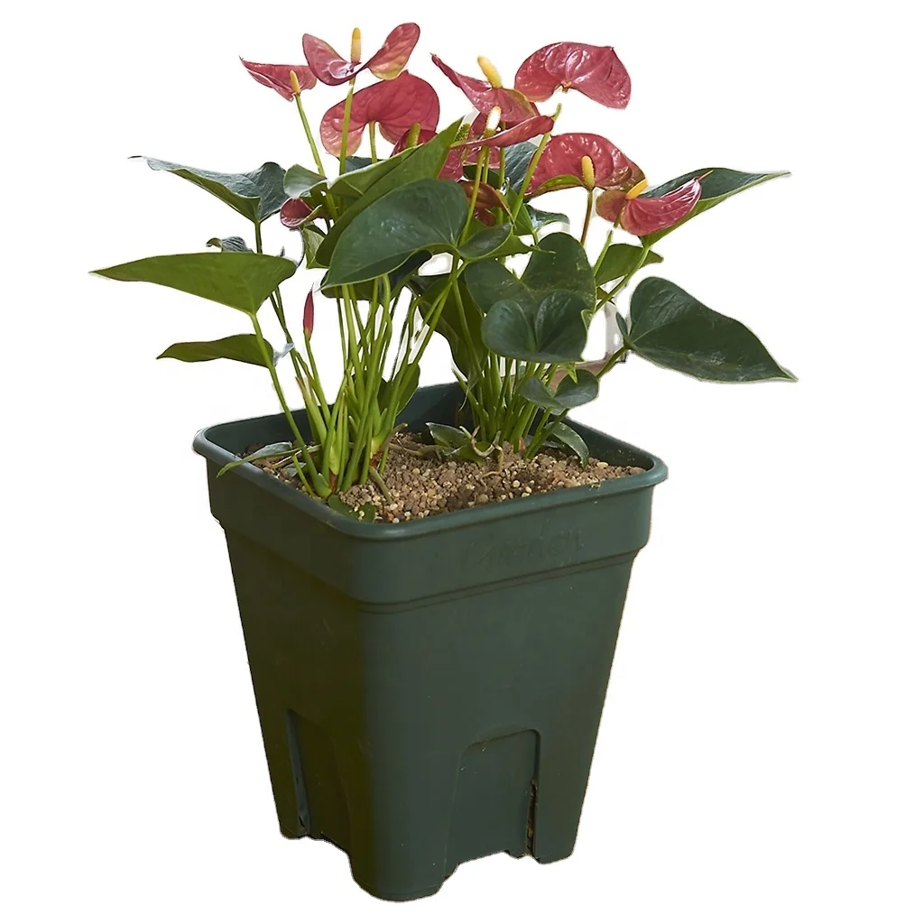 Durable Root Control Plastic Gallon Pot, Square Flower Planting Pot