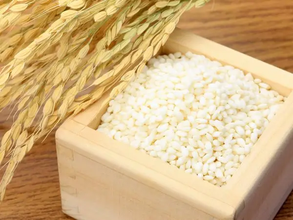 Japan wholesale soft custom squishy mochi rice cakes with good taste