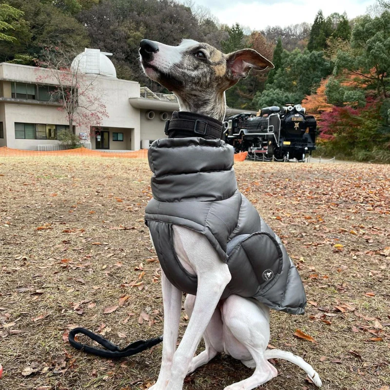 Custom Waterproof Outer Material Fluffy Lining Adjustable Reflective Logo Luxury Lined French Bulldog Jacket Clothes Dog Coats