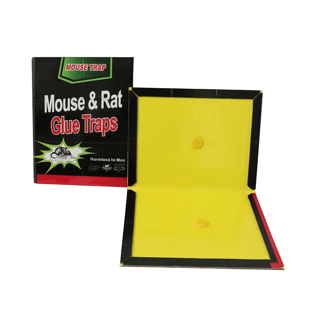 Trampa Ratones Pega Raton Mice Rat Snake Lizard Mouse Glue Board Trap Manufacturer