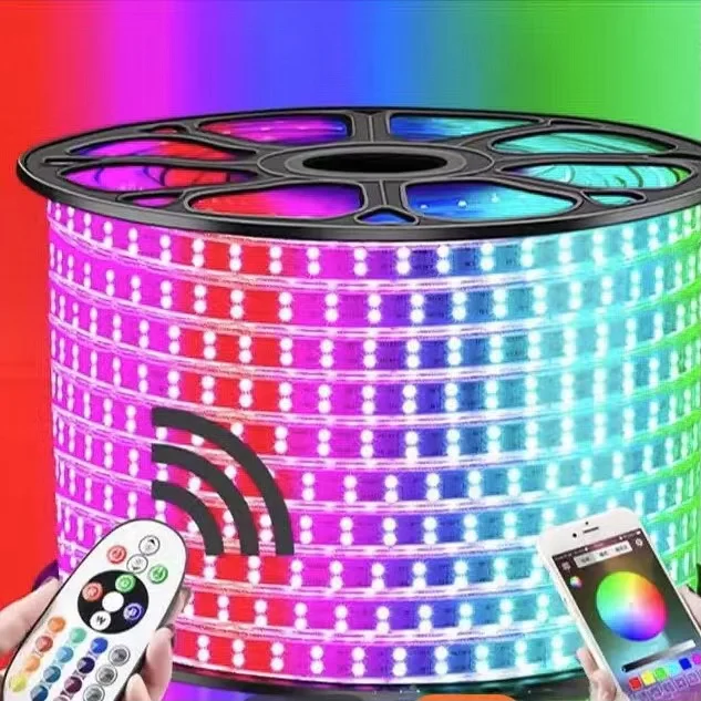 Wholesale Wifi 12V 5M Outdoor Waterproof Neon  led Smart Led Strip Led Strip Lights/Led Light Strip