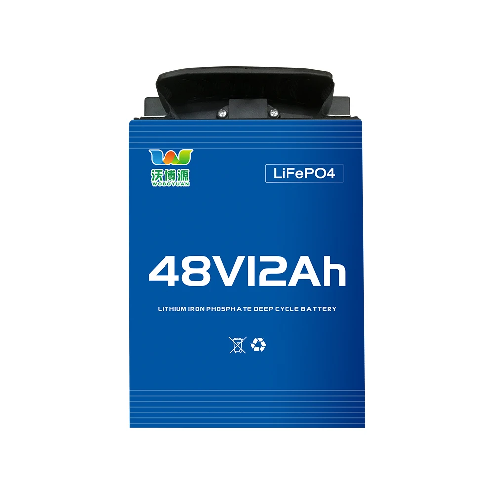 Customized Lifepo4 E-bike E-Scooter Battery Pack 48V 12AH 10AH 30AH E-motorcycle Battery for electric two and three wheelers car