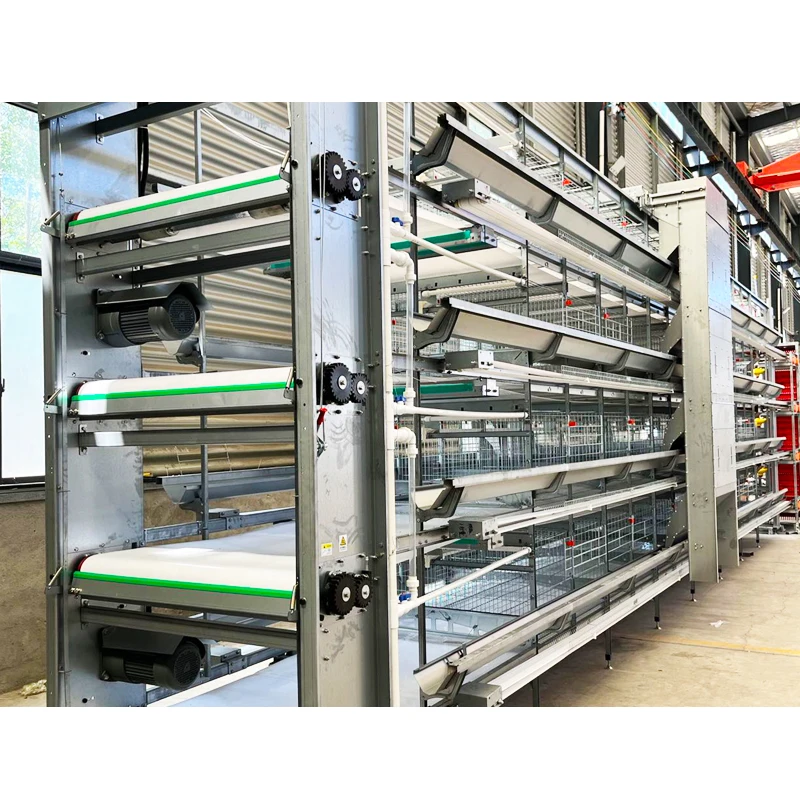 Automatic Poultry Chicken Cleaning Manure Machine Conveyor Belt Manure Removal System for Farm