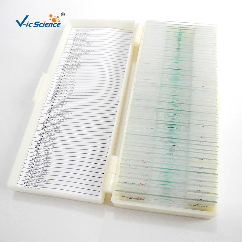 Botany Pathology research Microscope Prepared Slides Disease of Solanaceae vegetable for crop Teaching use