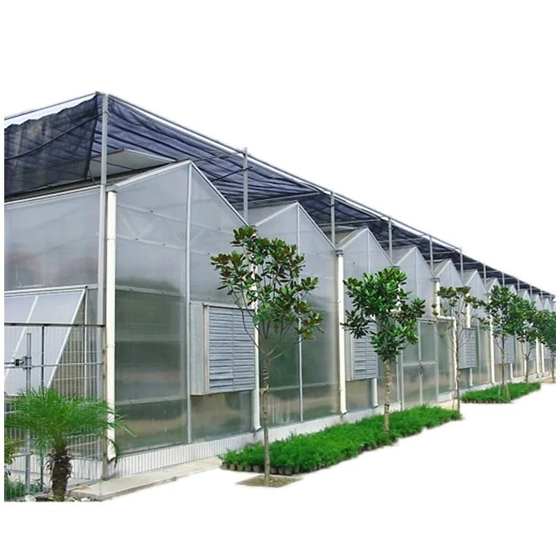 Multi-span venlo type PC greenhouse large size high quality greenhouse