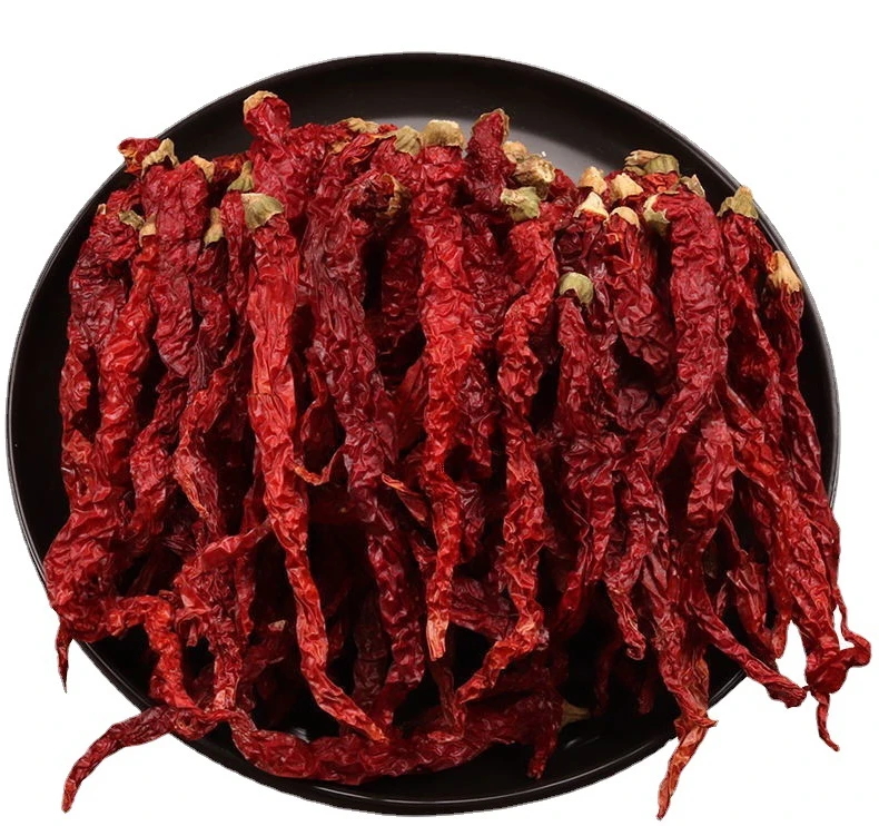 Seasoning wholesale Guizhou Erjingtiao dried chilli/red chilli