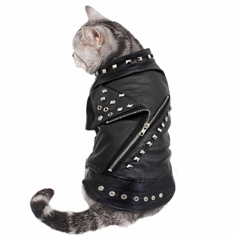 Motorcycle Customised Designer Trendy Xxl Big Large Small Luxury Clothe Clothes Jacket Clothing For Dog Dogs