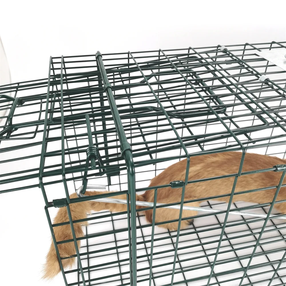 Popular Hog Pig Trap extra Large fox Trap Green Galvanizing Boar Hunting Traps