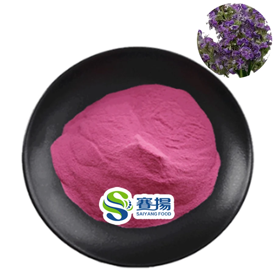 Hot Sale Best Wholesale Price Chaste Berry Extract Powder Pure Natural Chaste Tree Berry Extract