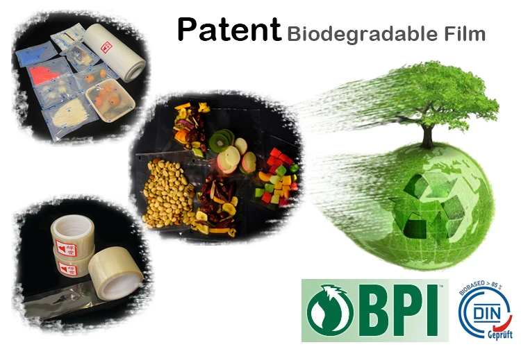 biodegradable05.jpg