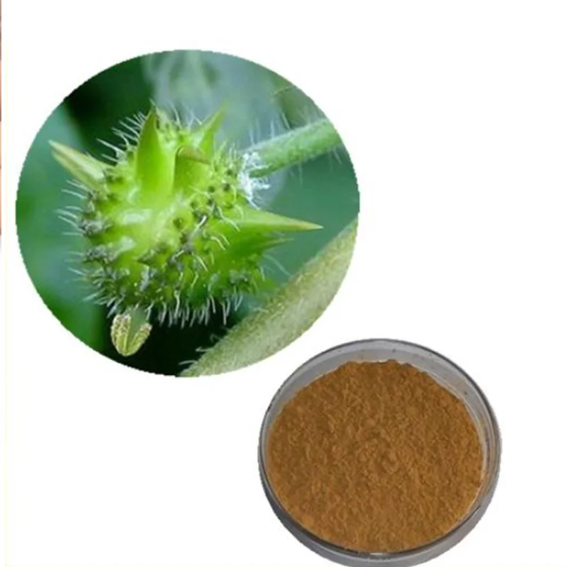 Factory Supply Pure Natural Tribulus Terrestris 40% -98% Total Saponins of Tribulus Terrestris Extract Powder