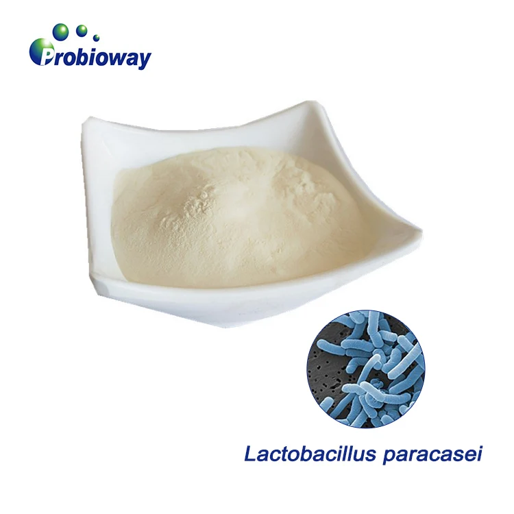 Лиофилизированный лактоbacillus paracasei HH-LP58 100 млрд cfu/g пробиотики объемный порошок пищевая добавка питание для
