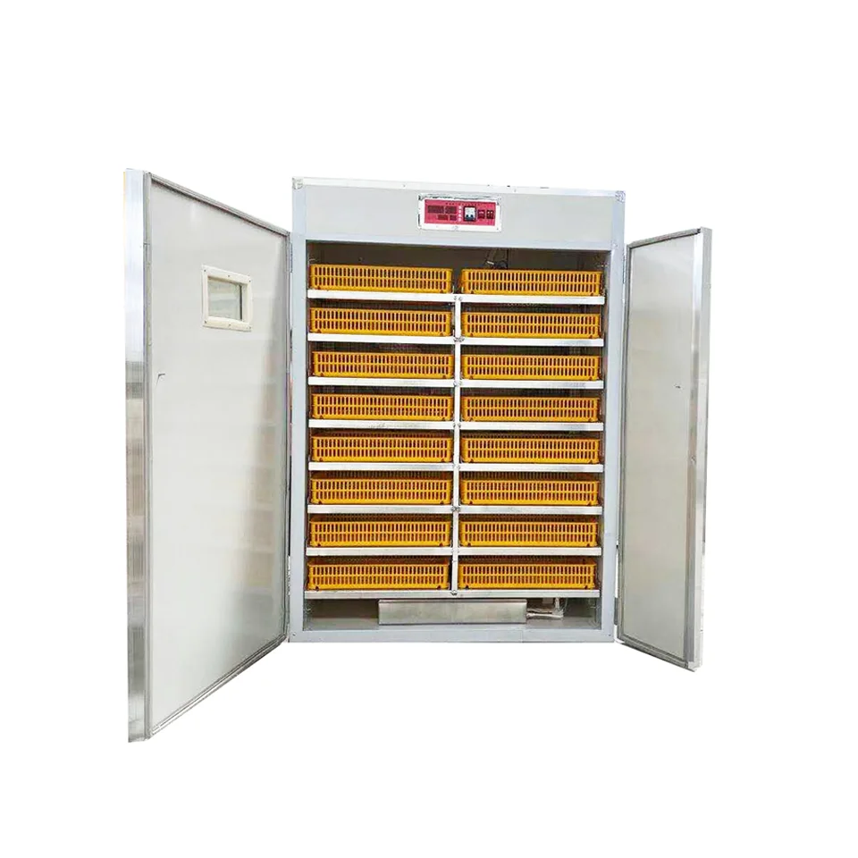 All Kinds of Bird Egg Incubators for Sale