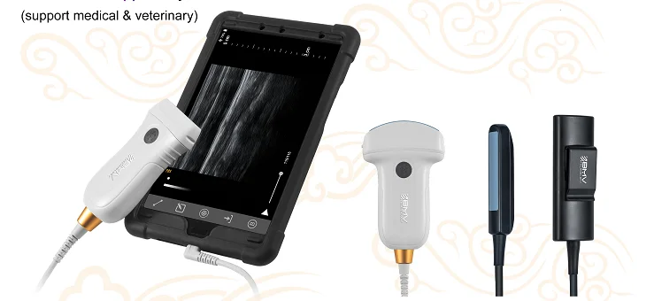 Animal scanning imaging ultrasound  pregnancy scanner     goat/sheep scanner  pig scanner   porcine ultrasound machine