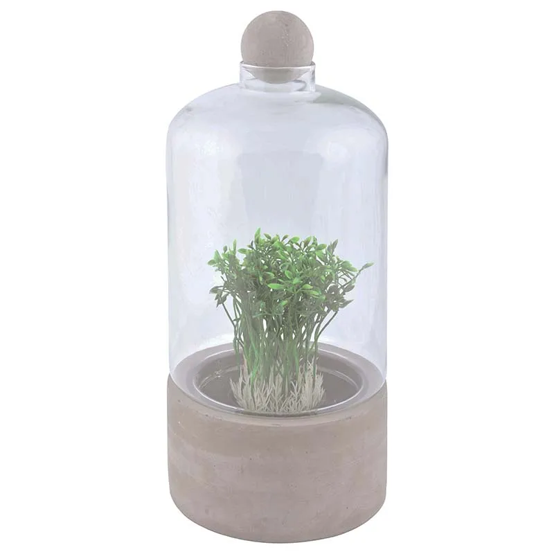 modern plant vase terrarium glass top concrete ball regulate oxygen level inside Bottle terrarium concrete base