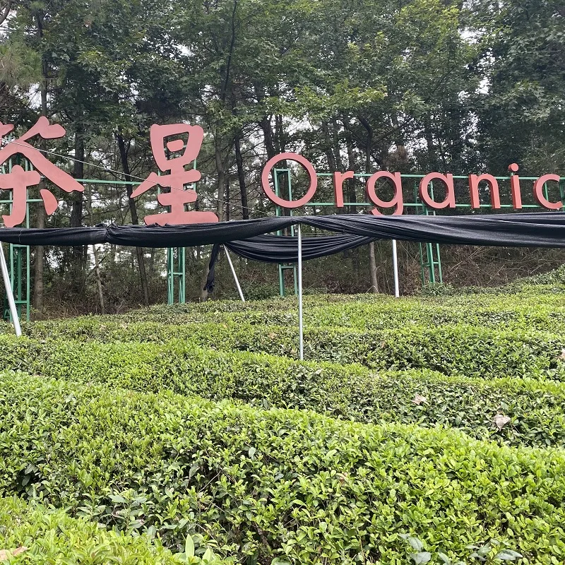 matcha latte mix jade leaf matcha green tea japanese matcha powder