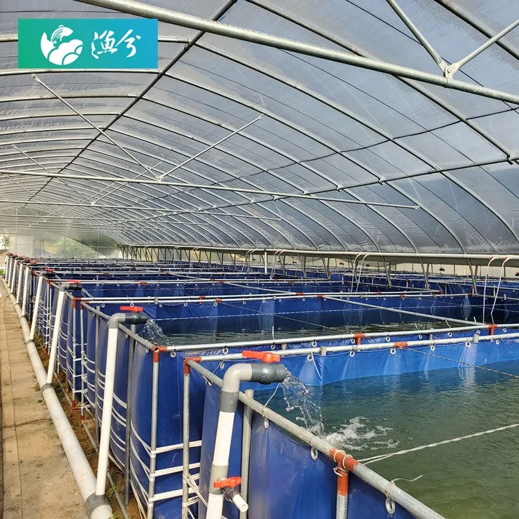 
Vannamei shrimp PVC tank RAS - recirculating aquaculture equipment systems design 