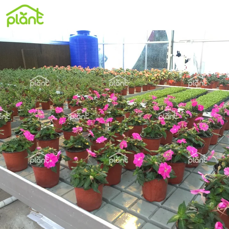 Ebb and Flow Seedbed Greenhouse Grow Table Movable Rolling Bench For Seedling/Breeding