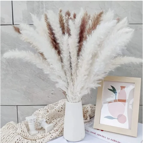 2022 dried flowers natural flowers 30pcs 45 cm pampas grass flora boho wedding supplies