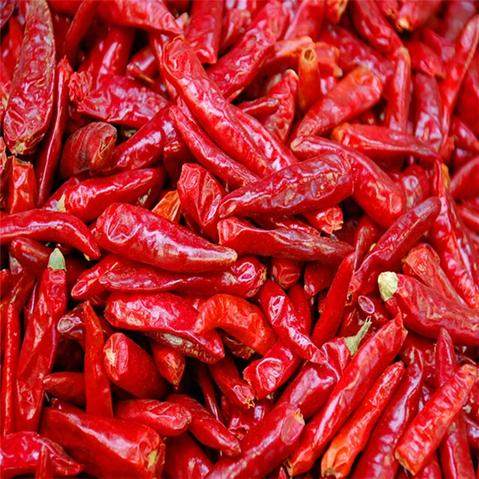 Высококачественный новый урожай свежего и замороженного Jinta Chili Red Chilli Jinta