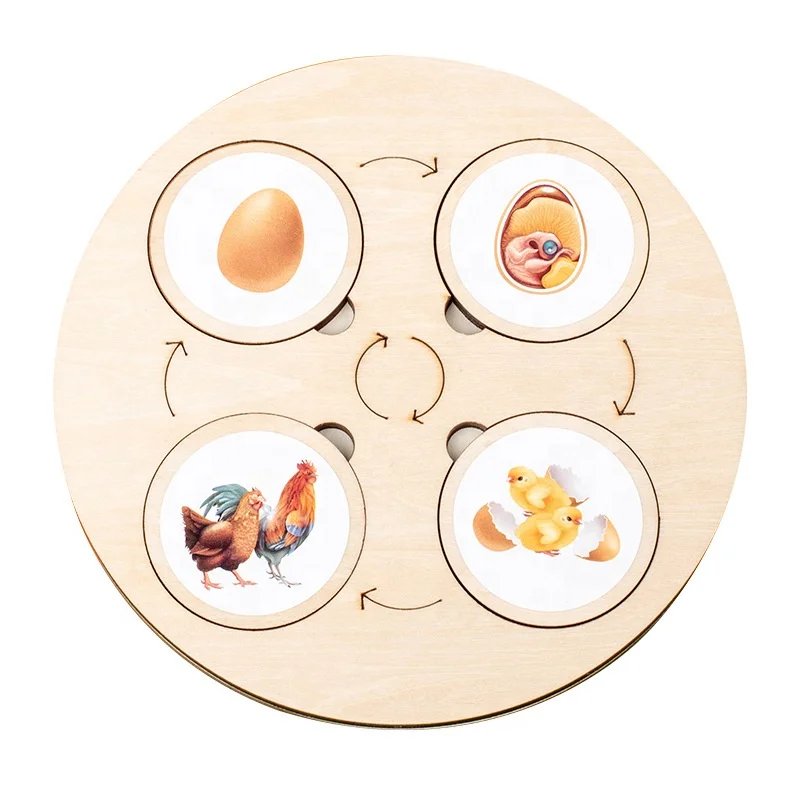 Biological Evolution Life Circle Wooden Board Kids Montessori Toys Preschool Early Learning Educational Toys for Baby Toddlers