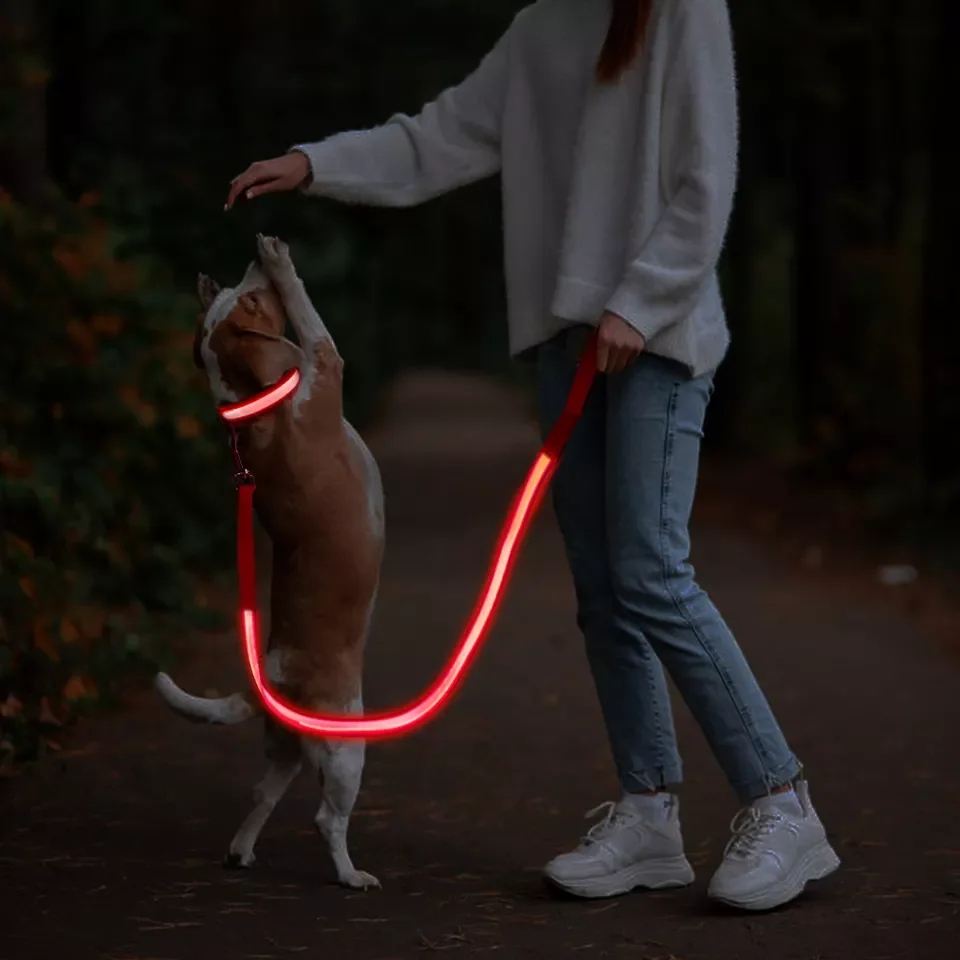 Amazon hot sale Night Safety Pet Products Led Dog Glow In Dark Adjustable Luminous Collar Light Up Dog Leashes