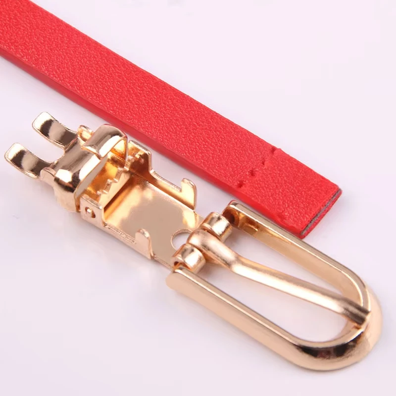 New Women Thin Belts Multicolor Decorative Leather Belt Dress Sweater Thin Waistband Fashion Needle Buckle Korean Version Belt
