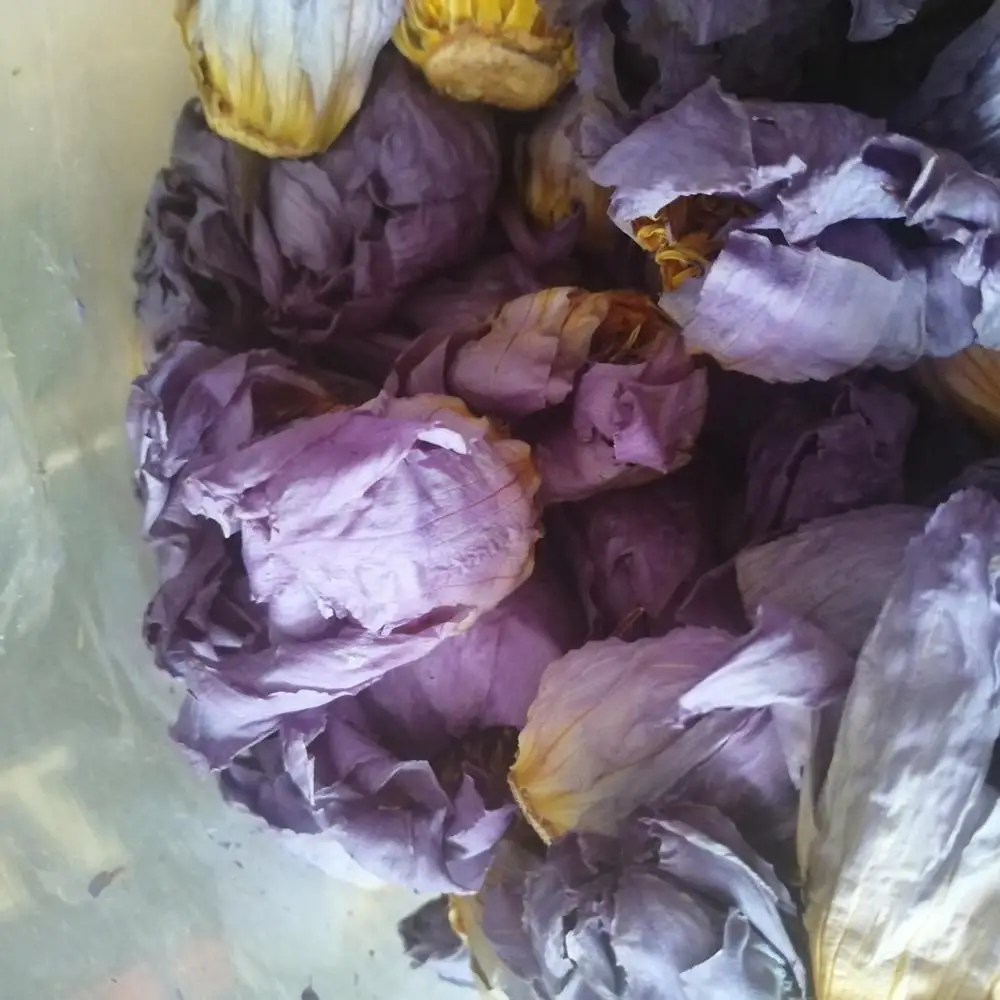 
Fragrant bake Dried blue lotus tea Nymphaea calliantha Conard flowers 