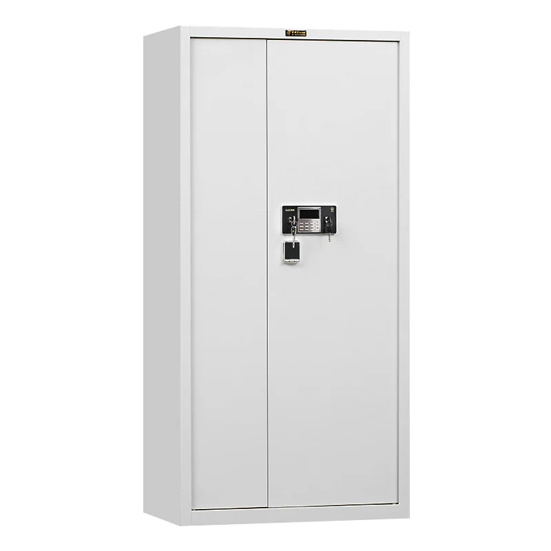 Office Furniture 2 Doors Filing Cabinet with Key lock  Steel Office Locker