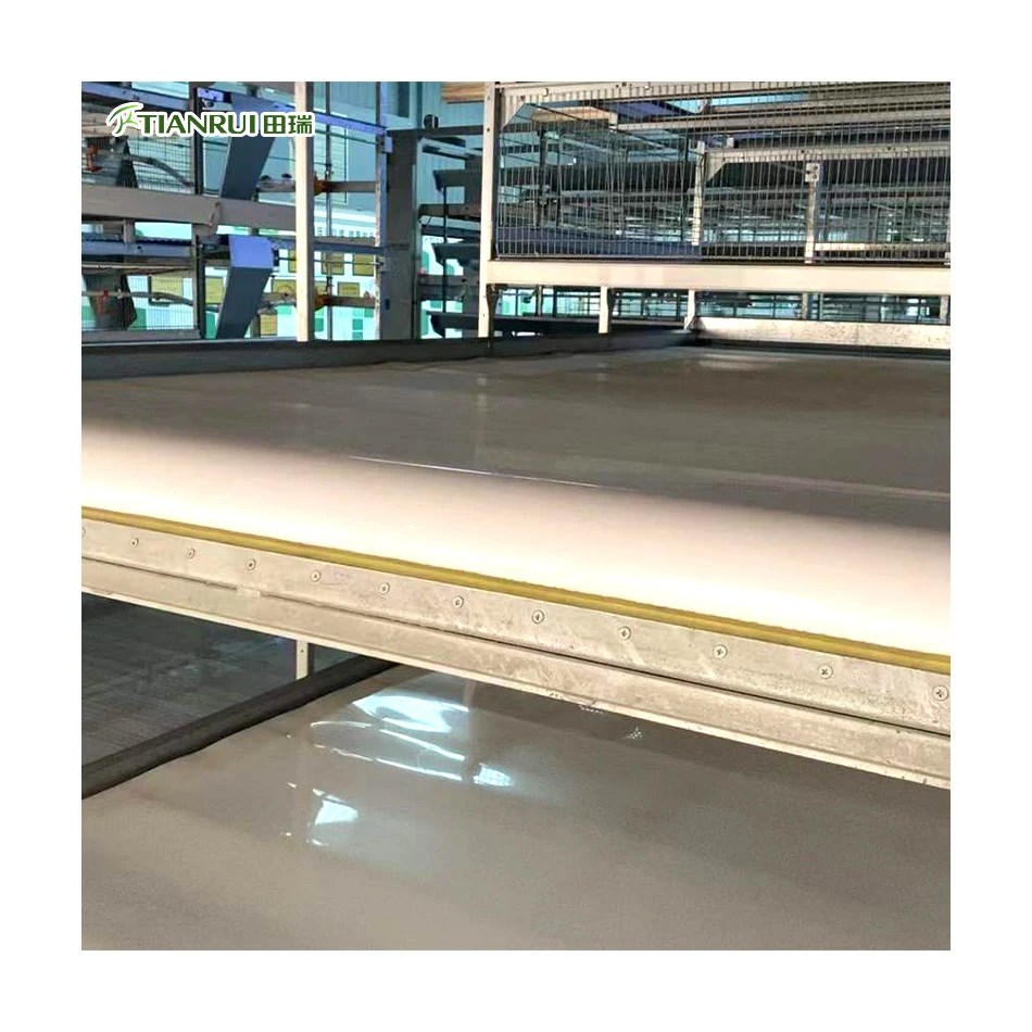 Полностью автоматизированные куриные клетки для бройлеров домашней птицы с системой очистки кормления для продажи