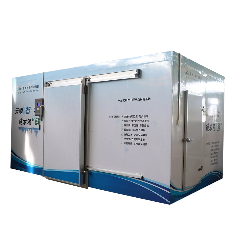 Fland Refrigerated walk in Freezer 20ft 40ft Reefer Container cold storage room