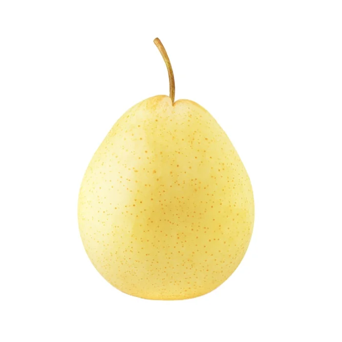 Wholesale Price Fresh Pear Chinese Supplier Import Bulk Pear 2024 New Crop Export