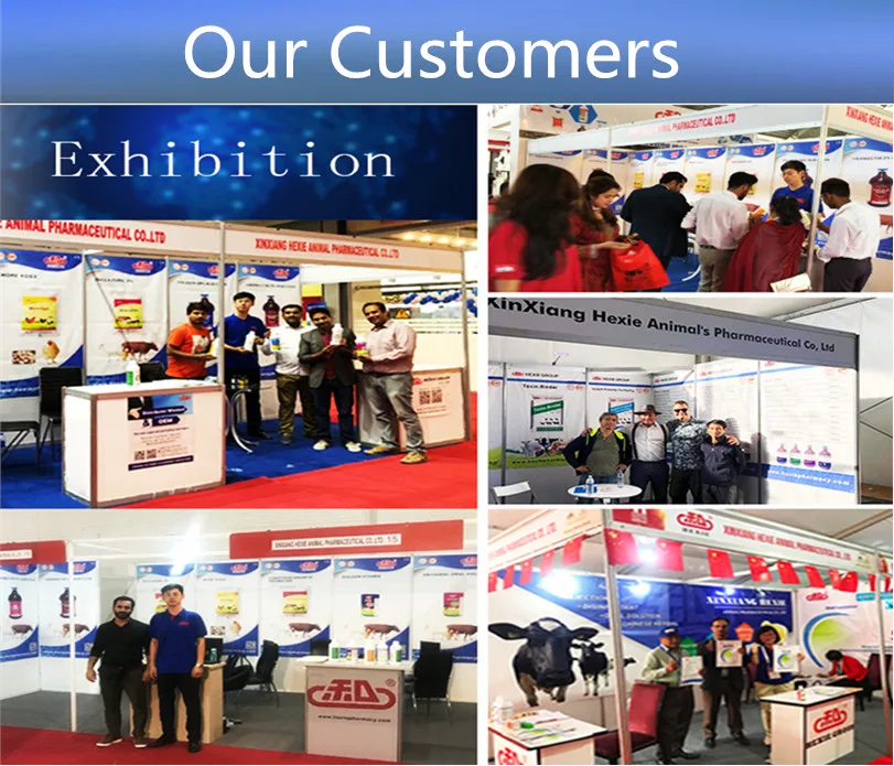 
ENR powder fish medicine broiler drug anti biotics hexie brand 