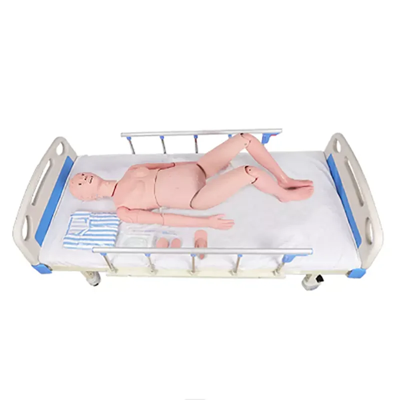 Advanced Training Multifunction Caregiver Model PVC Carton Box Medical Science  Manikins  whole Body HY  MM15 CN;HEN