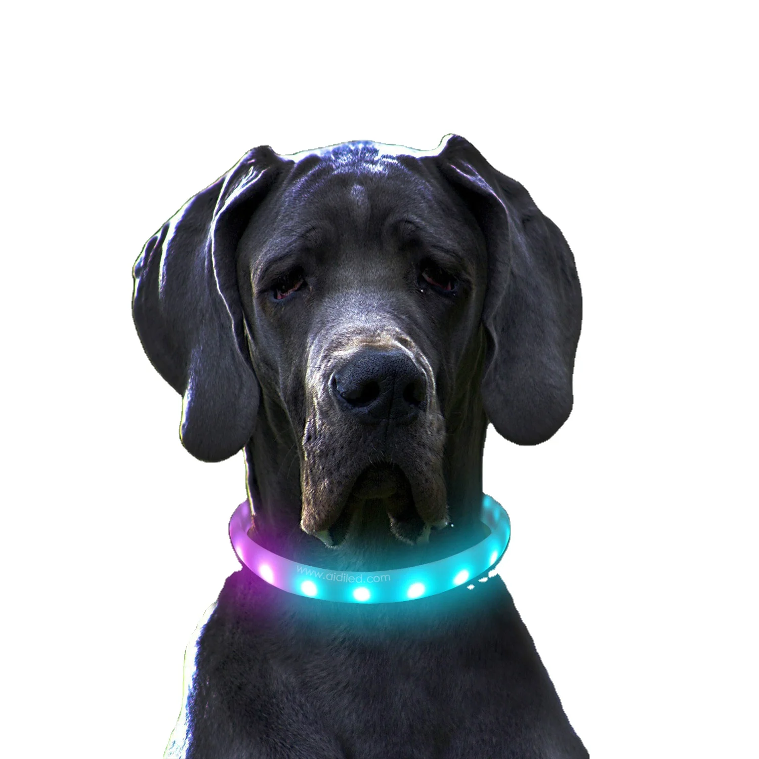 AIDI C6 Good Quality Wholesale Multi Colors Plaid Light Pet Cat Dog Collar Night Safety Glow in the Dark Led Dog Collar