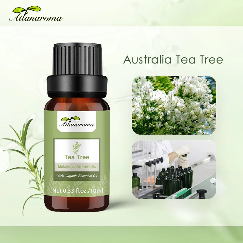 Australian Organic Bulk Pure Natural Tea Tree Oil Acne Remover 100% Nature For Sale Skin