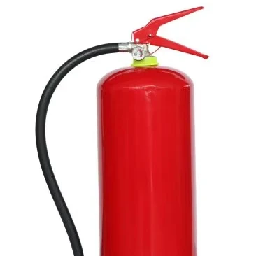 2024 September Production Mexico Mini 1kg and 2 DCP 6 9 12 Portable ABC Fire Extinguisher