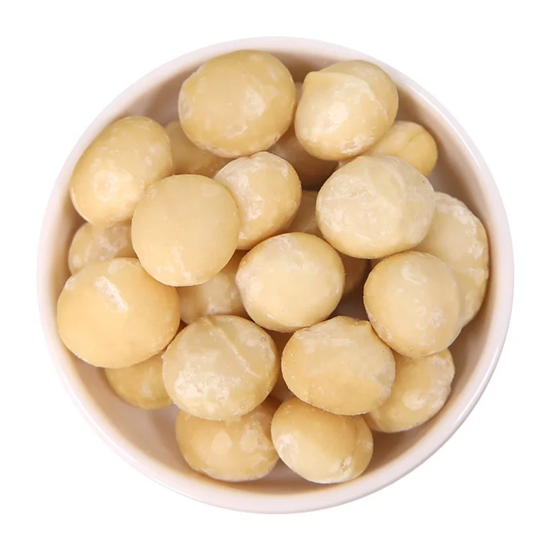 Factory Direct Price Own Planting Base Macadamia Nuts Wholesale Raw Materials For Roasted Chocolate Macadamia in Shell
