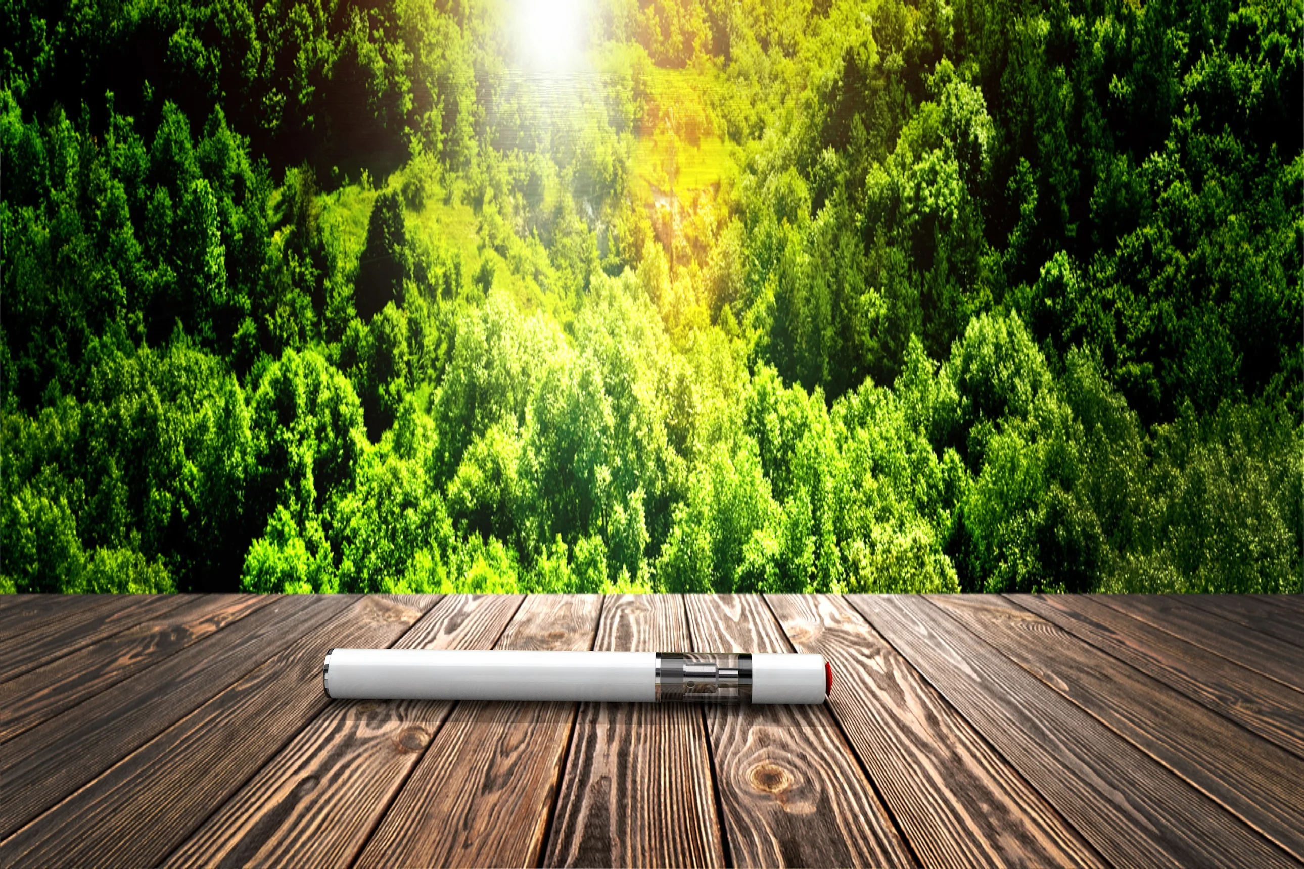 
Vaper Favorite Thick Oil Electronic Cigarette Quartz Coils Vap Cbd Vape Pen 