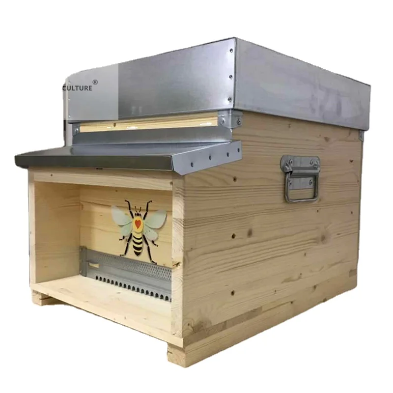 China Apiculture Europe honey bee hive dadant wooden beehive for beekeeping