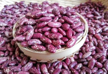  Китайская фасоль высокое качество