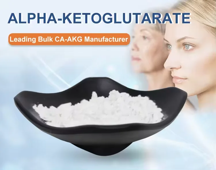 Calcium Alpha-Ketoglutarate (AKG) CAS 71686-01-6 Powder Anti  Healthy Aging