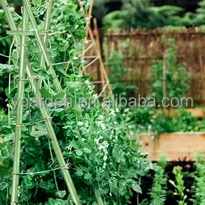 New Design Quality Outdoor Garden Stakes Plant Support Stake Sticks Tomato Hot Pepper Climbing Plants Outdoor Gardening Supplies