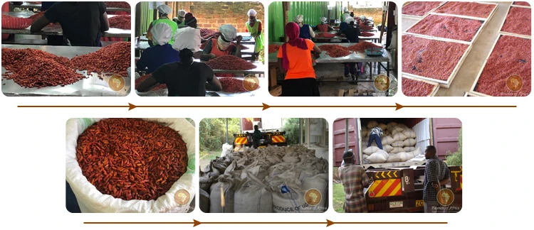 Dried Scotch Bonnet Chili Pepper Perfect For Chili Powder Extract, Hot & Spicy Red Pepper From AFRICAN Chili Supplier