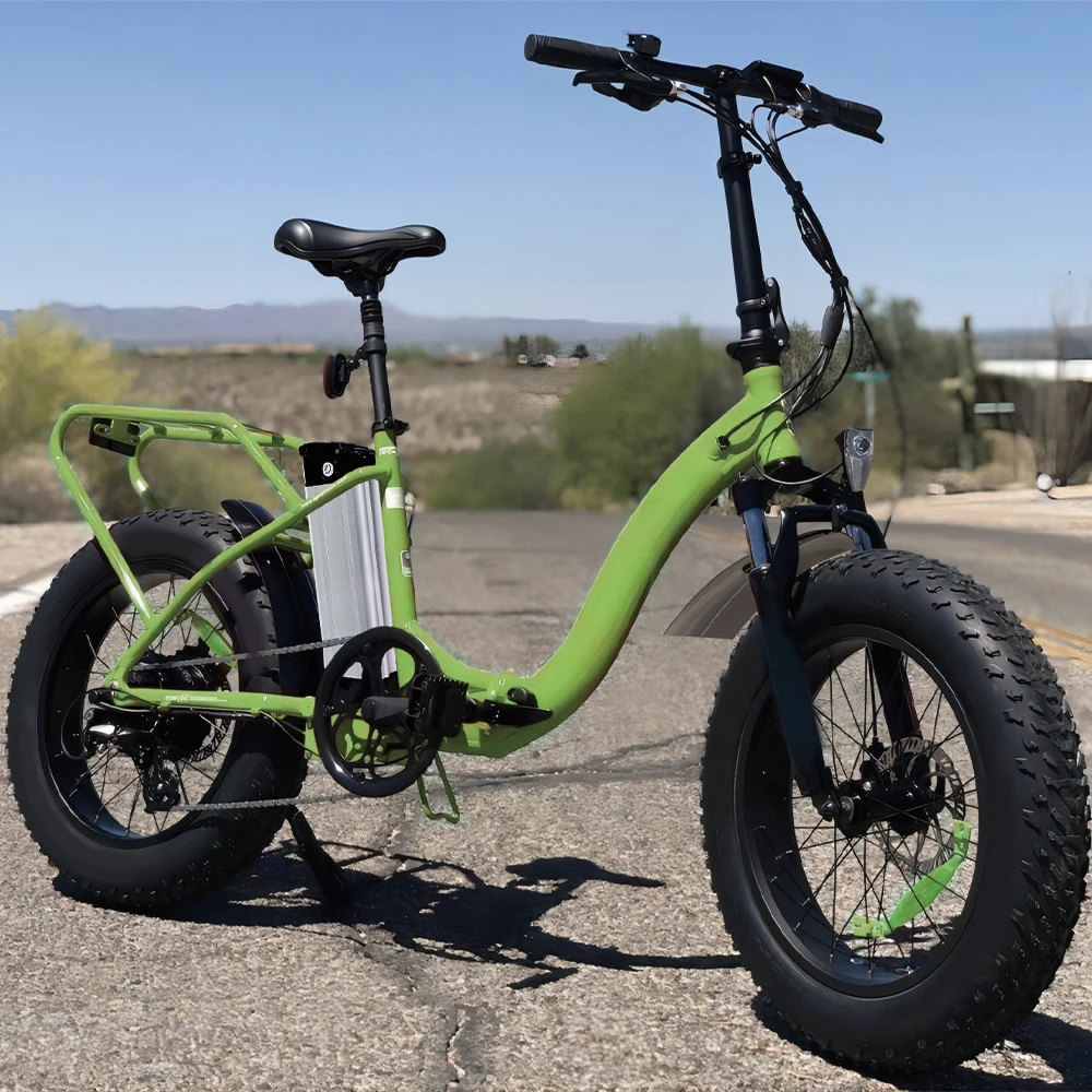 Silver Fish 36v 13ah Lithium Ion E Bike 48v Rechargeable Lifepo4 Ebike Battery Pack